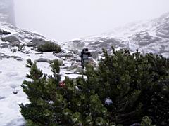 P1010088.JPG