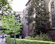 DSC00066.JPG